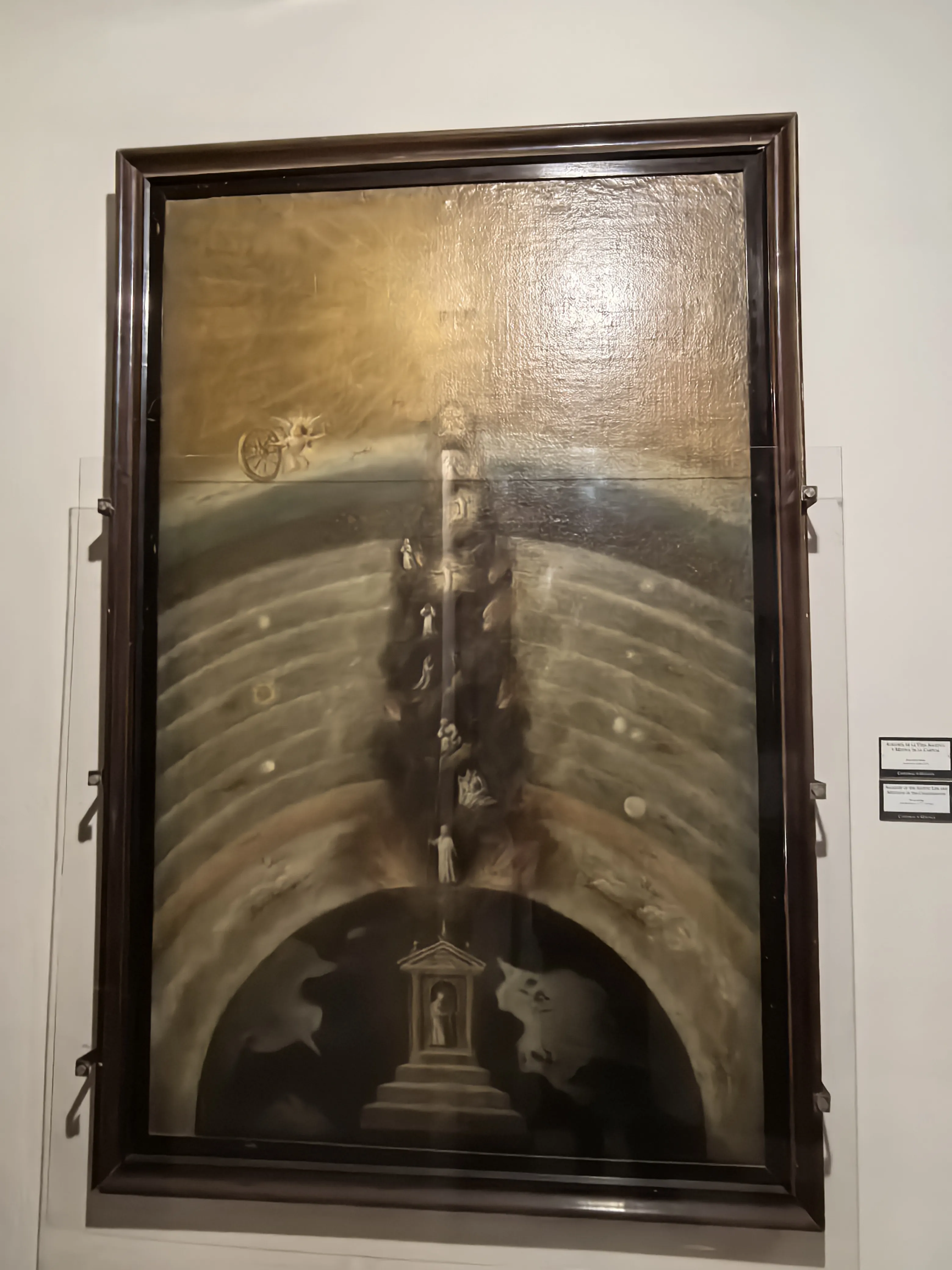 HUAWEI Pura 70 Ultra - System Aparatów - IMG_20251128_142151.webp